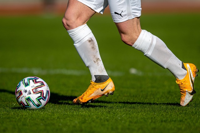 的烧烤派对 的烧烤派对